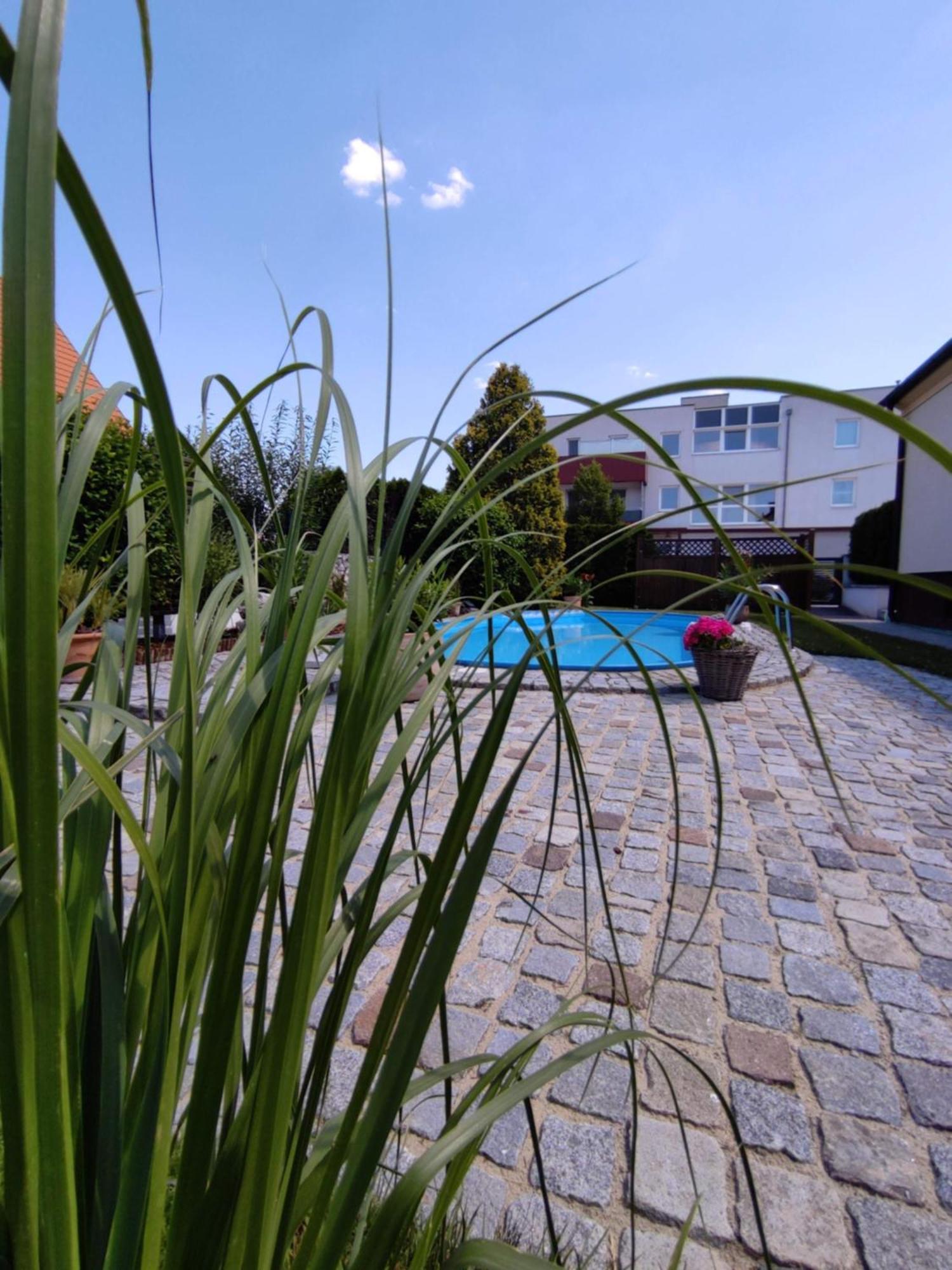 Appartement Ferienhaus Sonnenhain Sollenau Exterior photo